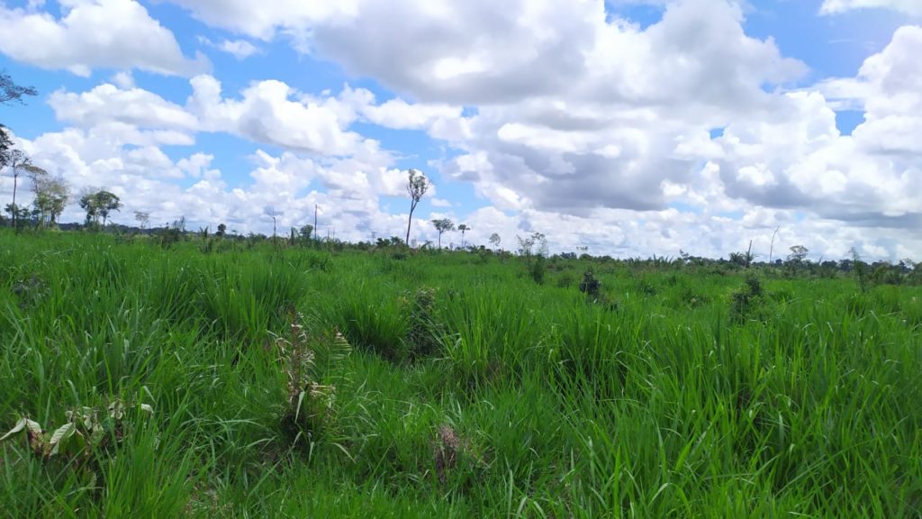 Fazenda em Santana do Araguaia